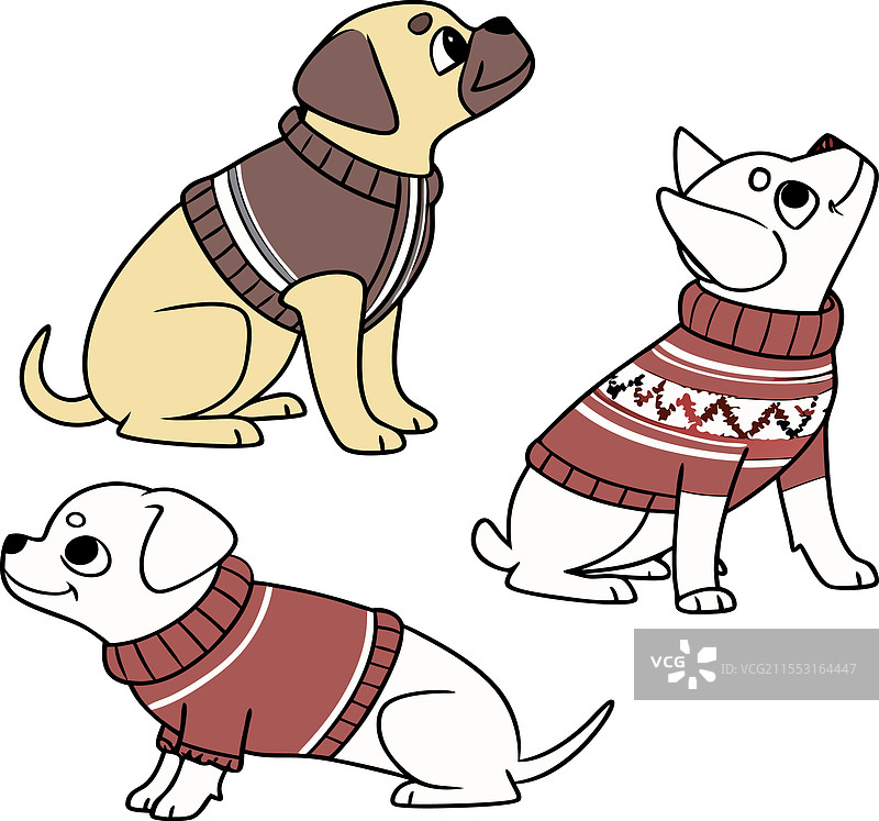 不同犬种的小狗穿着毛衣图片素材