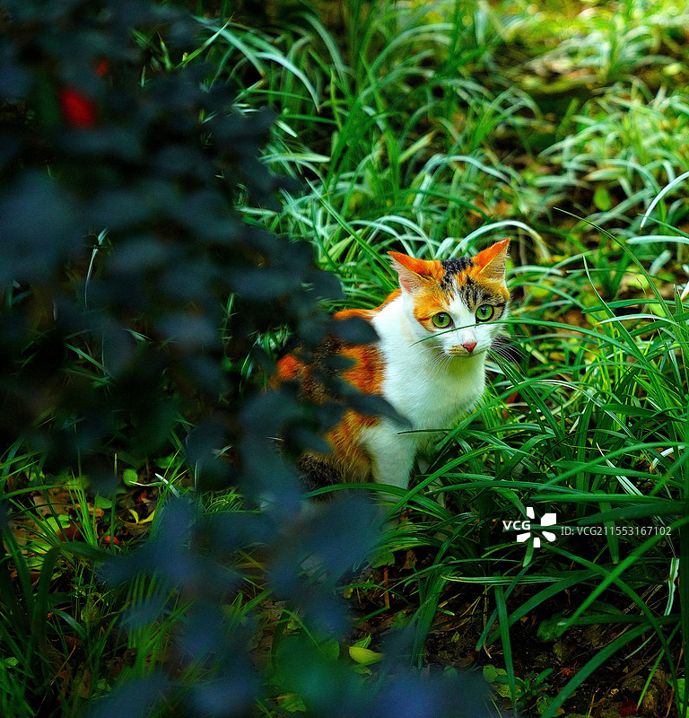 “原来你在这里”图片素材