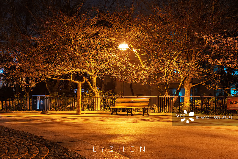 夜晚路灯下，长椅被繁花树木环绕，营造出静谧温馨的城市角落。图片素材