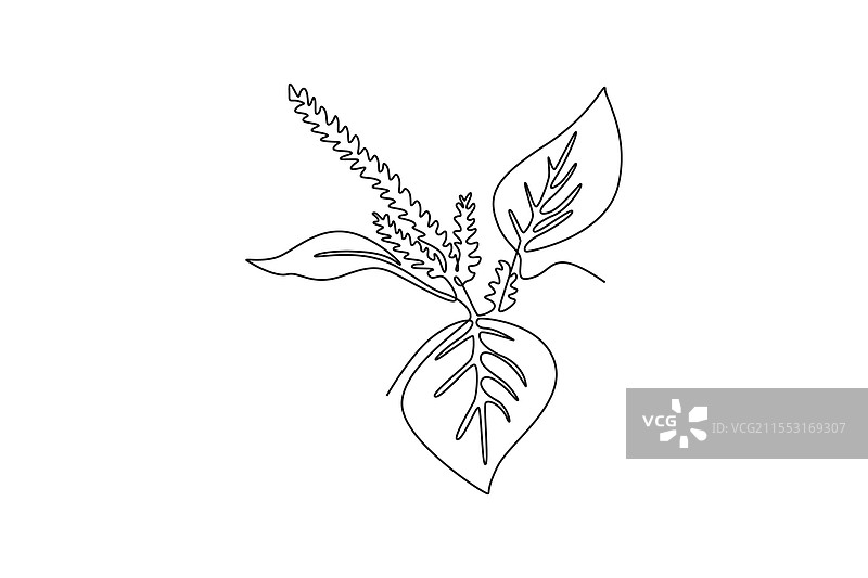 保存 - 一次性图片素材