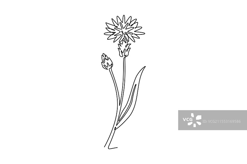 保存 - 一次性图片素材