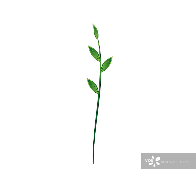幼苗图片素材