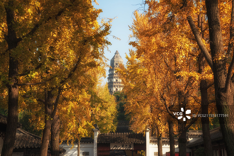 虎丘秋色图片素材