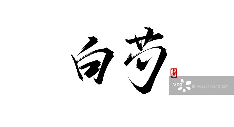 白芍（书法手写中医中药字体素材）图片素材