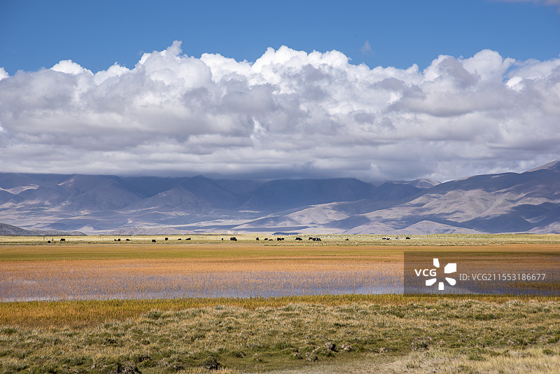 西藏藏北草原自然风光图片素材