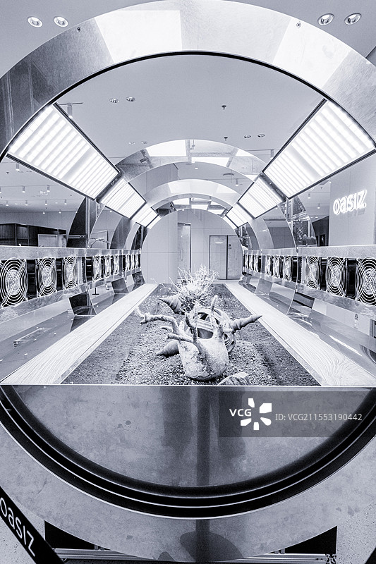 深圳万象天地巨人展图片素材