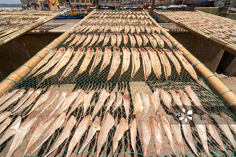 海边晒鱼图片素材