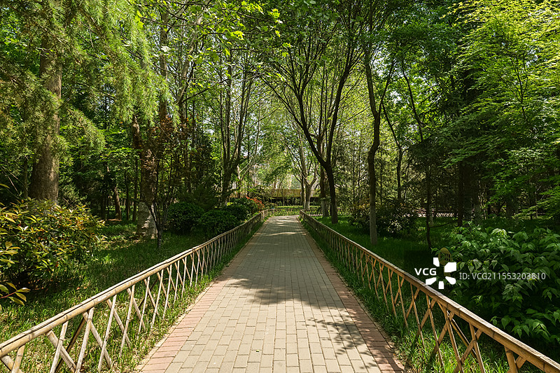 山东济南花圃公园小路图片素材