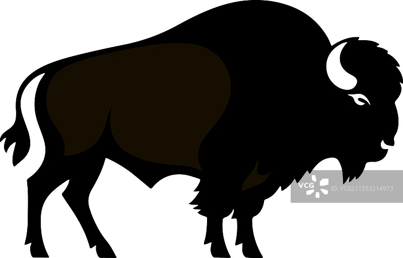 一头站立的野牛图片素材