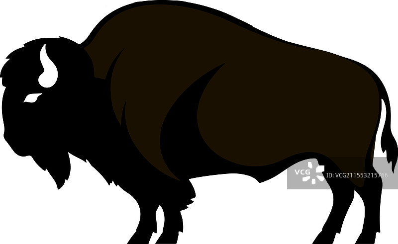 一头野牛图片素材