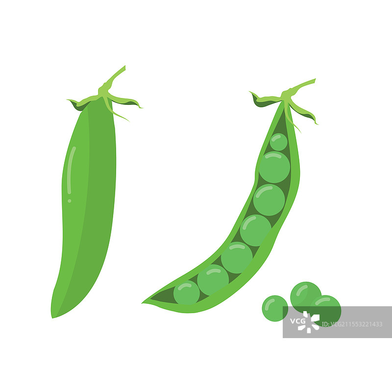 豌豆荚中的青豌豆图片素材