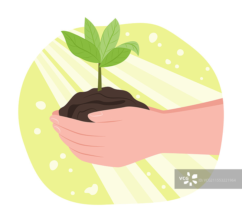 人手握着一株植物幼苗，准备进行园艺活动图片素材