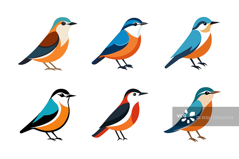 可爱的山雀鸟群图片素材