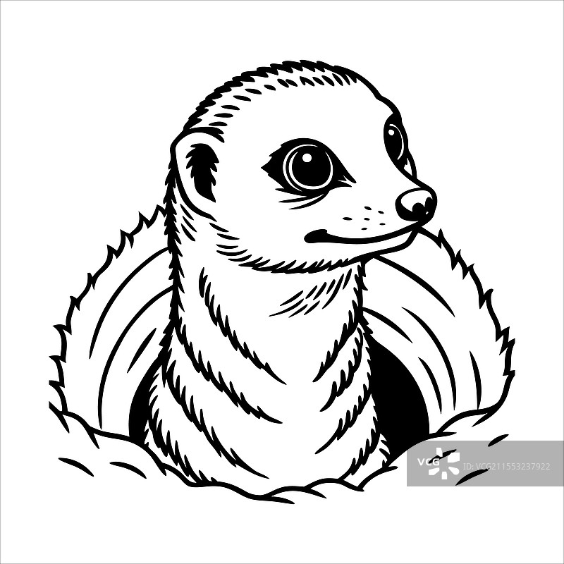 狐獴挖洞的图片图片素材