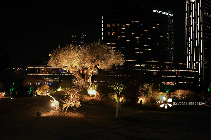 上海松江凯悦酒店夜景图片素材