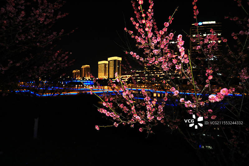 上海松江凯悦酒店夜景图片素材