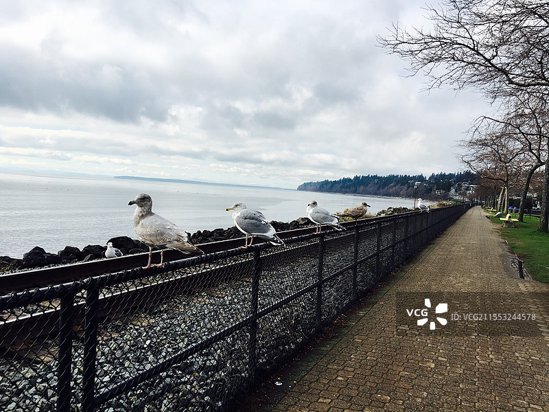 加拿大-温哥华（Canada-Vancouver）图片素材