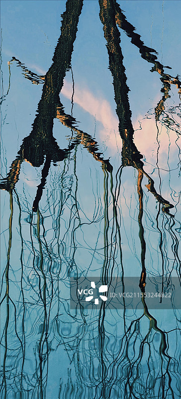 游过来的春天图片素材