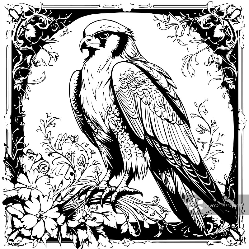 猎鹰涂色页设计图片素材