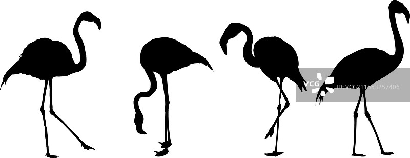 一组火烈鸟剪影图片素材