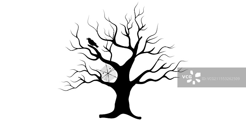 无叶干树的剪影与鸟儿图片素材