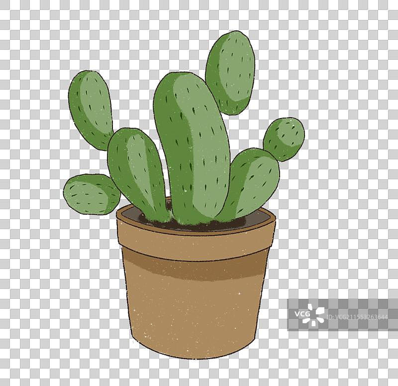 一盆仙人掌绿色植物自然春天元素图片素材