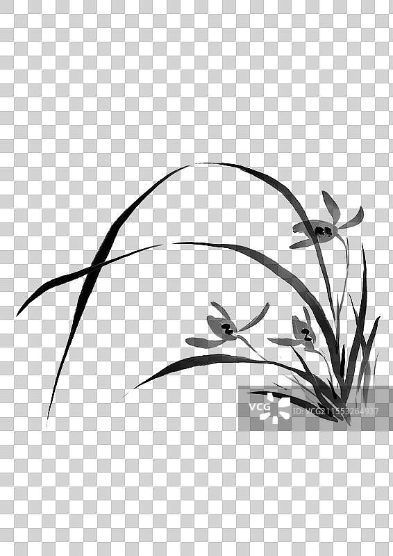 春天，兰花，叶子，生长图片素材