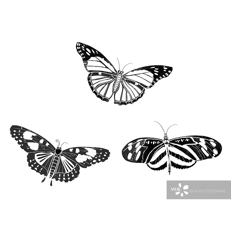 素材藏族舞蹈元素蝴蝶元素黑白线稿PSD素材图片素材