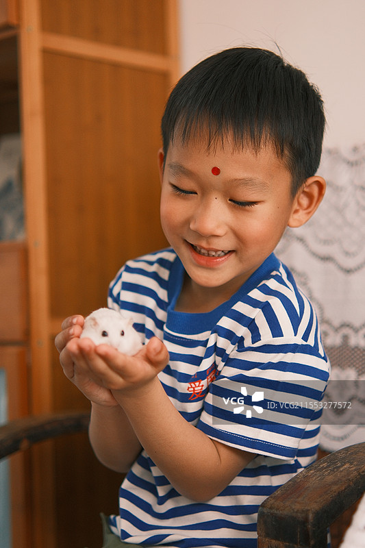 室内儿童和白色仓鼠图片素材