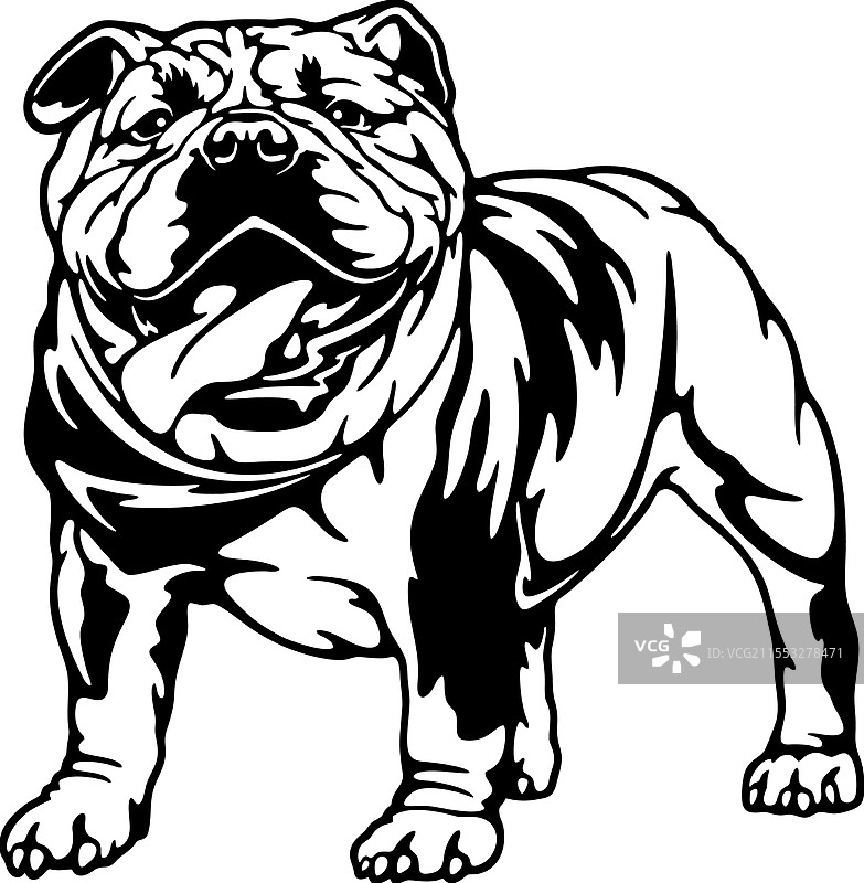 美国斗牛犬品种 - 宠物剪切文件图片素材