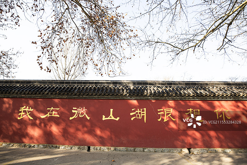 山东微山岛的“我在微山湖很想你”打卡网红墙图片素材