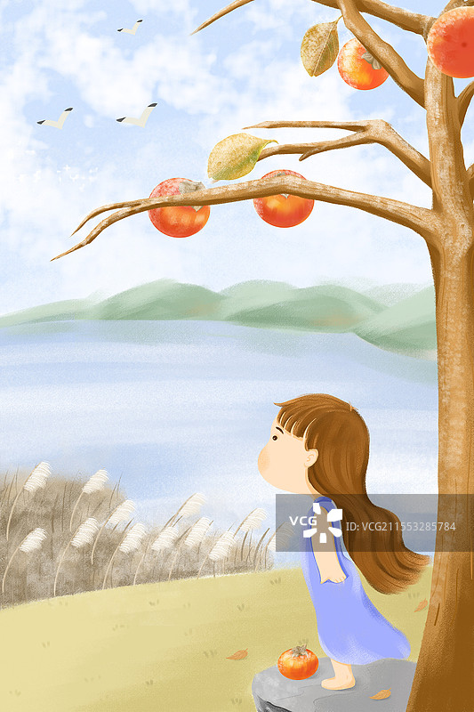 站在柿子树下吹风的小女孩霜降插画PSD素材24节气霜降图片素材