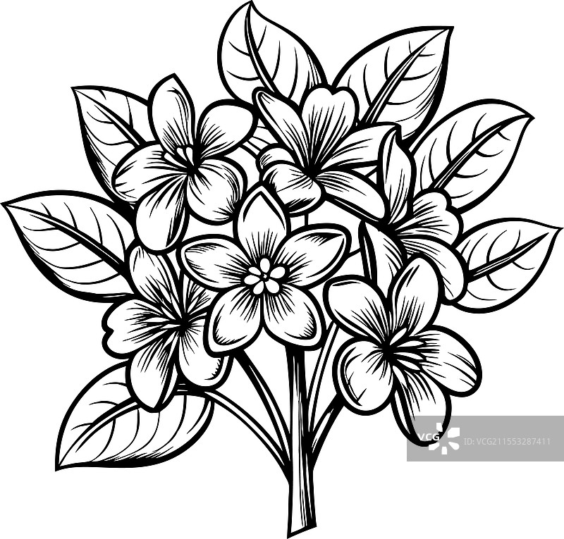 花卉新娘手捧花素描墨水海报图片素材