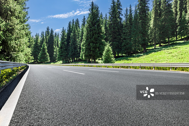 绿树成荫的公路图片素材