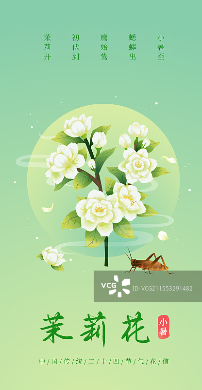 新中式二十四节气 小暑和茉莉花 矢量插画海报图片素材