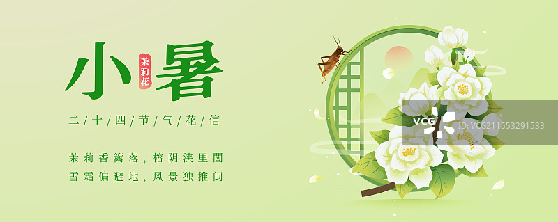 新中式二十四节气 小暑和茉莉花 矢量插画海报图片素材