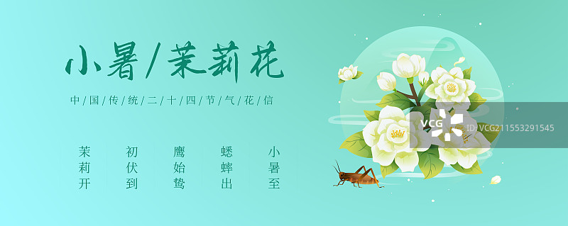 新中式二十四节气 小暑和茉莉花 矢量插画海报图片素材