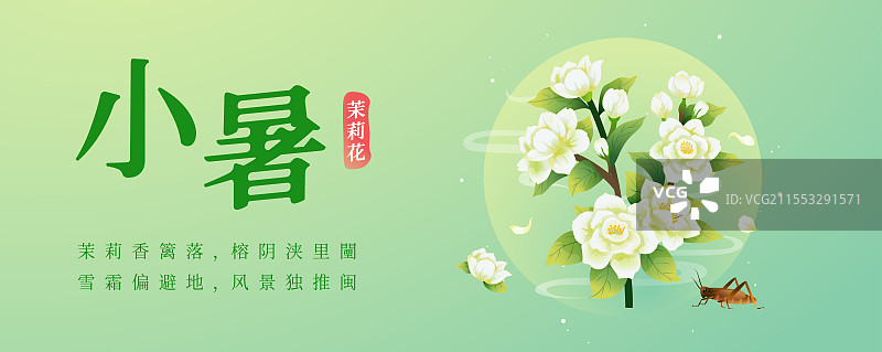新中式二十四节气 小暑和茉莉花 矢量插画海报图片素材