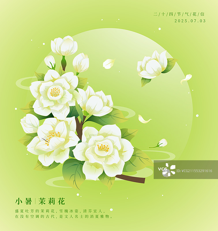 新中式二十四节气 小暑和茉莉花 矢量插画海报图片素材
