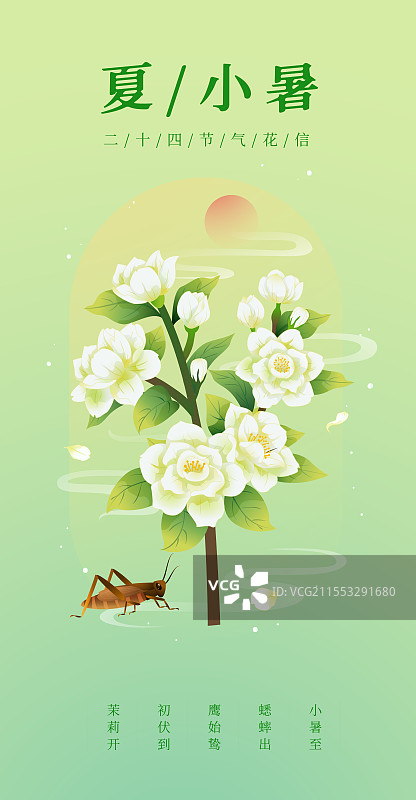 新中式二十四节气 小暑和茉莉花 矢量插画海报图片素材
