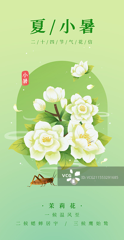 新中式二十四节气 小暑和茉莉花 矢量插画海报图片素材