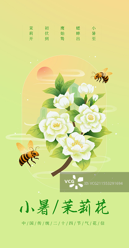 新中式二十四节气 小暑和茉莉花 矢量插画海报图片素材