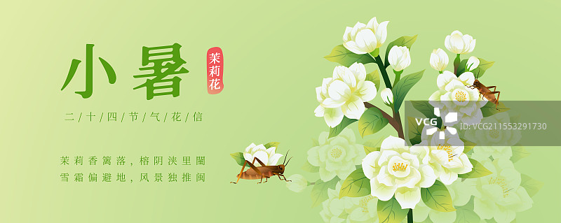 新中式二十四节气 小暑和茉莉花 矢量插画海报图片素材