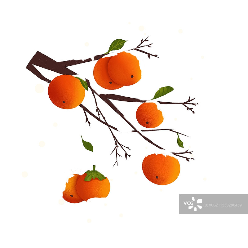 手绘插画柿子树雪花寒露元素png素材24节气寒露元素图片素材