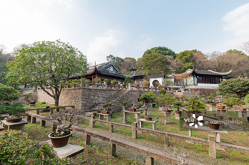 中国苏州 虎丘山的万景山庄 仿古建筑及各式盆栽图片素材