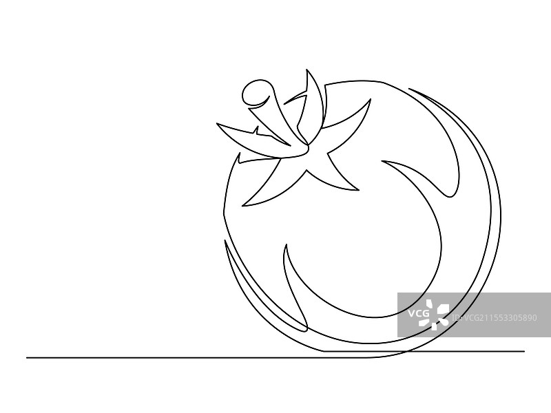 连续的一行番茄图片素材