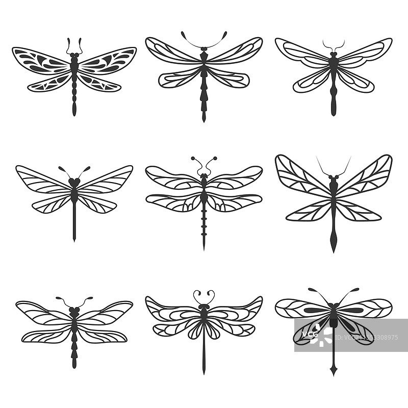 九只黑白蜻蜓剪影与图片素材
