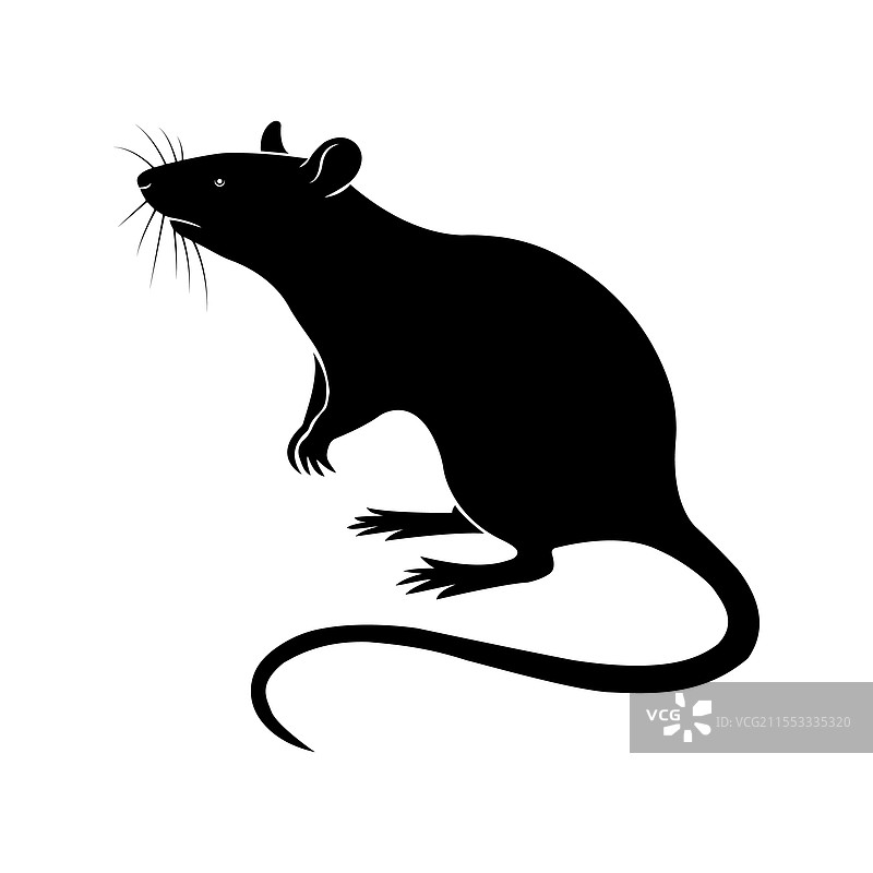 鼠标塞洛特图片素材