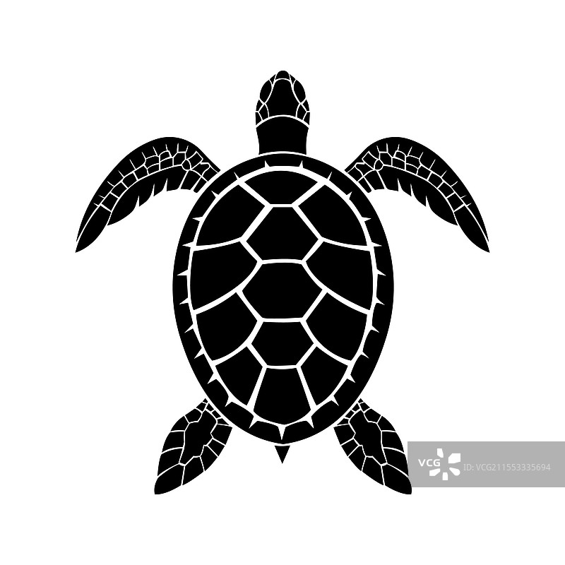 海龟和陆龟的合照 1图片素材