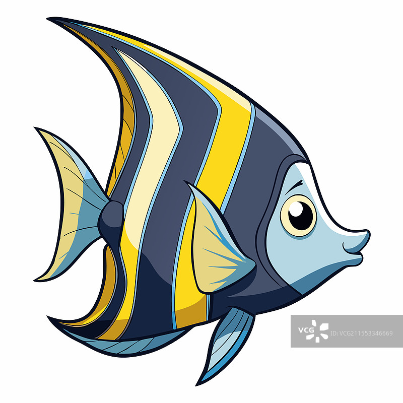 孤立在白色背景上的天使鱼图片素材